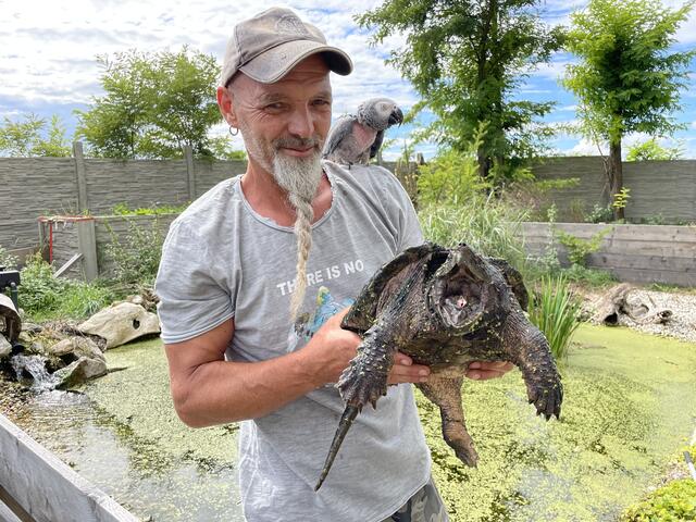 Markus Putzgruber kümmert sich leidenschaftlich gerne um seine Tiere. Eine Aufgabe die für einen Mann alleine nicht zu bewältigen scheint.  | Foto: Victoria Edlinger