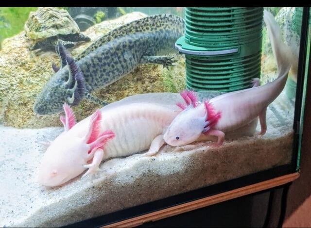 Foto: Stefanie Weese