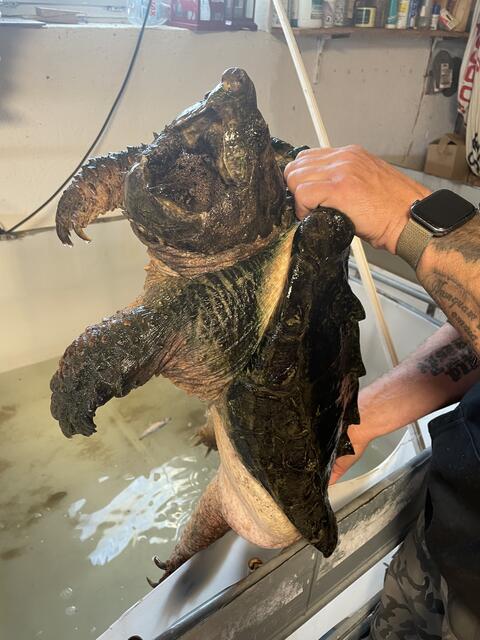 Foto: Victoria Edlinger