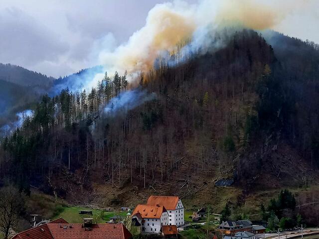 Foto: Tamara Treitler
