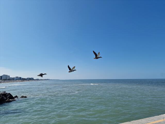 Foto: Promhotels Riccione