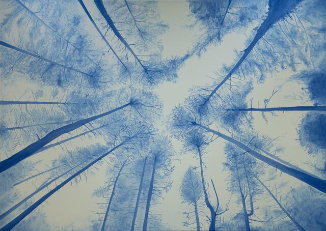 "Blau ist die Farbe des Vertrauens und der Verlässlichkeit. Als Farbe des Himmels, drückt das Blau Ferne, Weite und Unendlichkeit aus." Aus dem Zyklus „perfect blue“  Die (scheinbar) perfekte Welt?  | Foto: Privat