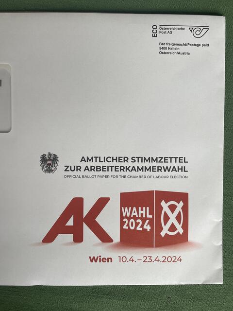 Wahlkarte samt Stimmzettel kommt per Brief ins Haus. | Foto: RMW