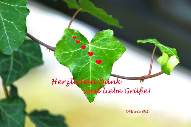Herzlichen Dank und liebe Grüße!