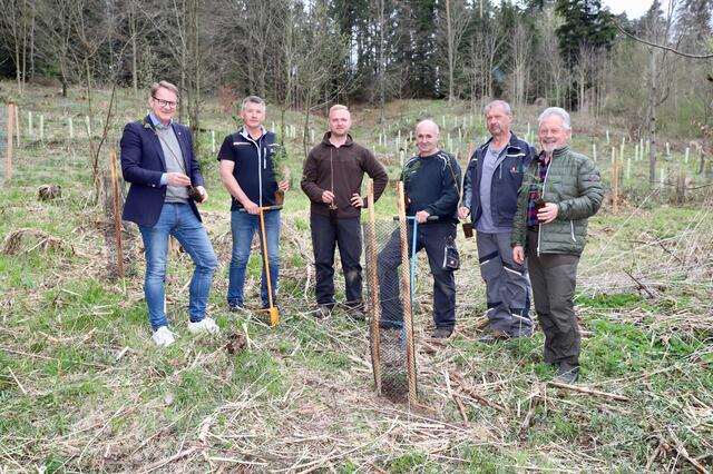 Aufforstung: Bgm. Marcus Martschitsch und Josef Fink dankten dem Mitarbeitern rund um Ing. Maximilian Nöhrer für ihren Einsatz. | Foto: Alfred Mayer