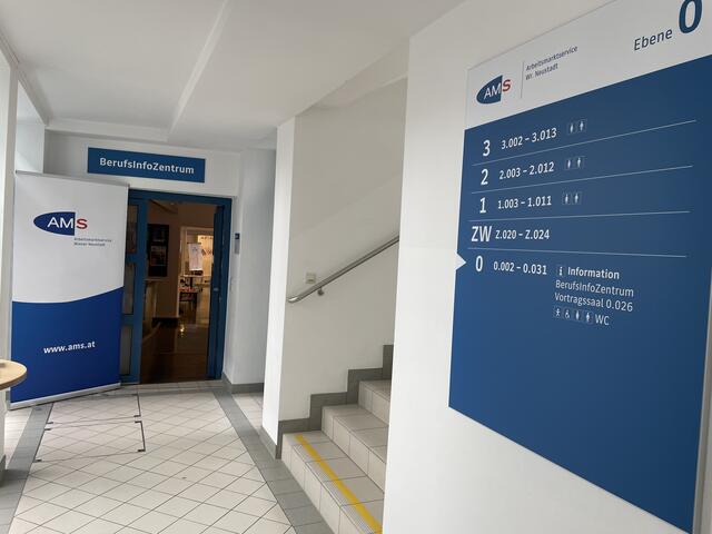 Foto: Plavec-Liska