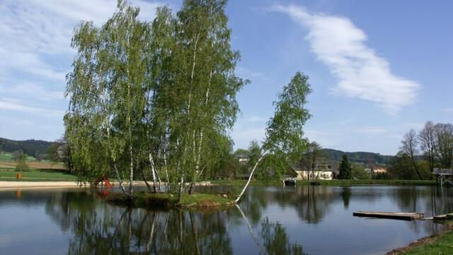 Der idyllisch gelegene Naturbadeteich neben dem Gasthaus "zur Holzmühle". | Foto: Tourismusverein Moorbad Harbach