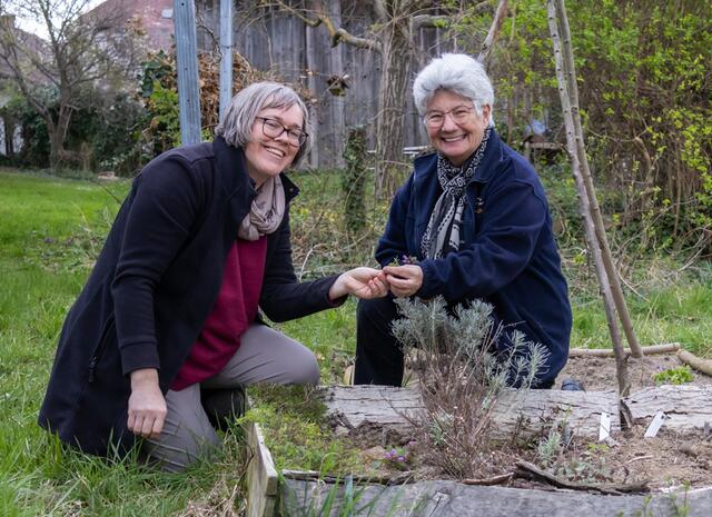 Kräuterexpertinnen Petra Regner-Haindl aus Wolkersdorf und die Stockerauerin Gerda Zipfelmayer sind die TEH-Praktikantinnen im Wifi Gänserndorf. | Foto: Regina Courtier