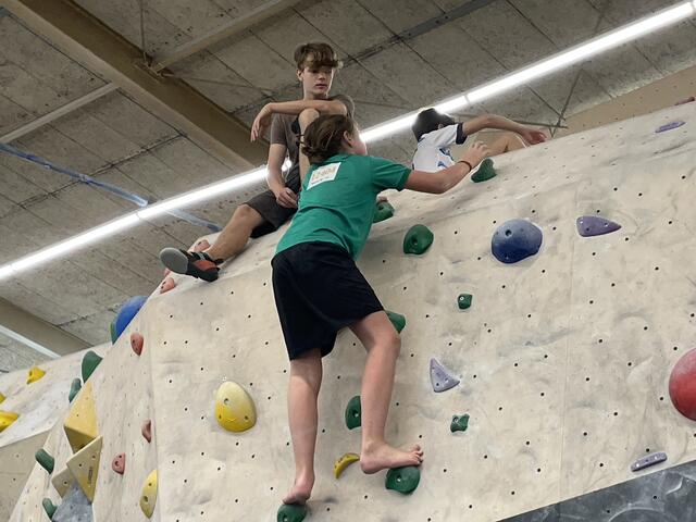 Foto: BRS/Gschwandtner