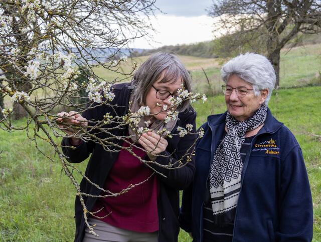 Kräuterexpertinnen Petra Regner-Haindl aus Wolkersdorf und die Stockerauerin Gerda Zipfelmayer sind die TEH-Praktikantinnen im Wifi Gänserndorf. | Foto: Regina Courtier