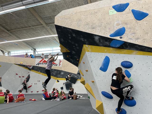 Foto: BRS/Gschwandtner