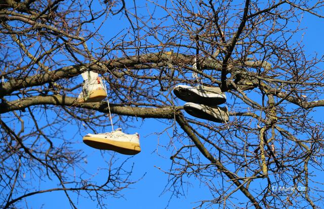 Schuhbaum, Kunst, Urban Art, Graz