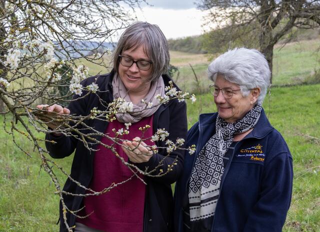 Kräuterexpertinnen Petra Regner-Haindl aus Wolkersdorf und die Stockerauerin Gerda Zipfelmayer sind die TEH-Praktikantinnen im Wifi Gänserndorf. | Foto: Regina Courtier