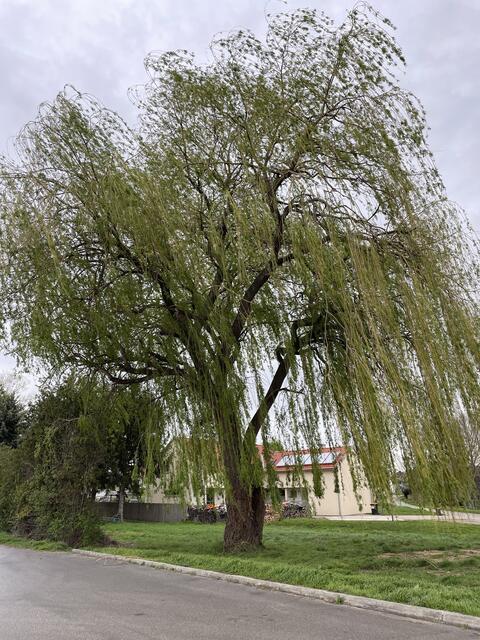Foto: Seidl