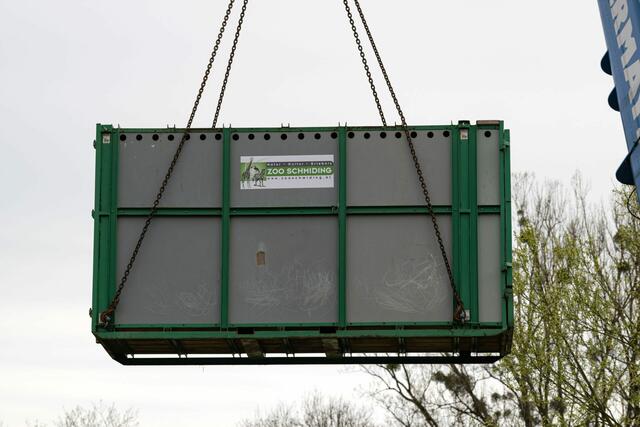 Foto: Zoo Schmiding/Peter Sterns