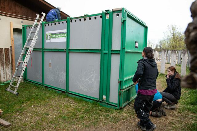 Foto: Zoo Schmiding/Peter Sterns