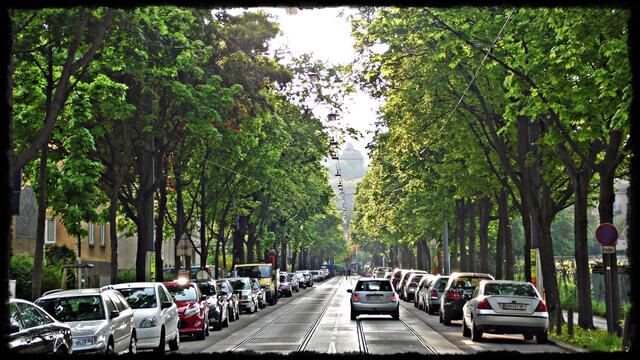 Auf der Alszeile wird ein Ein-Richtungs-Radweg entstehen. | Foto: Karl B.