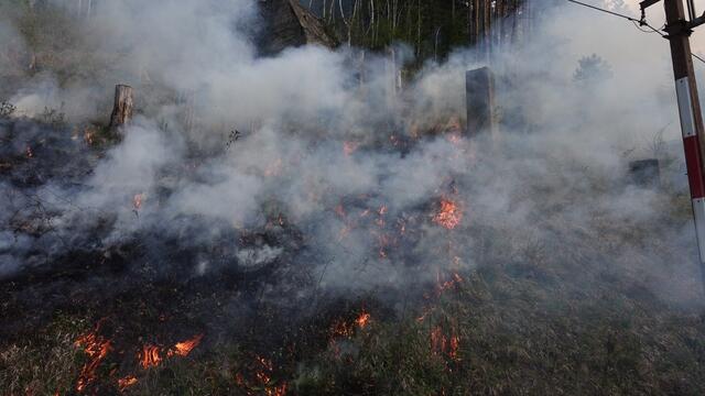 Brandstreifenheizen entlang der Semmeringbahn-Strecke | Foto: www.einsatzdoku.at
