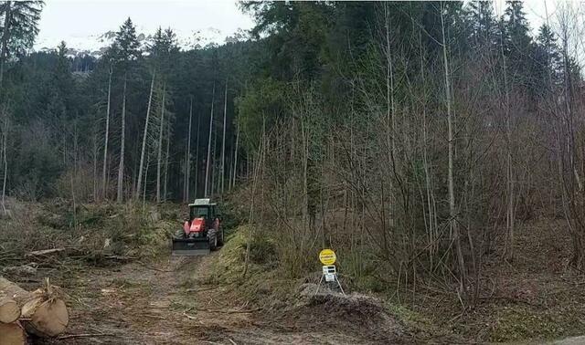 Über die Fakten der Rodungsarbeiten wurde umfassend informiert, eine politische Ruhe herrscht jedoch weiterhin nicht. | Foto: zvg