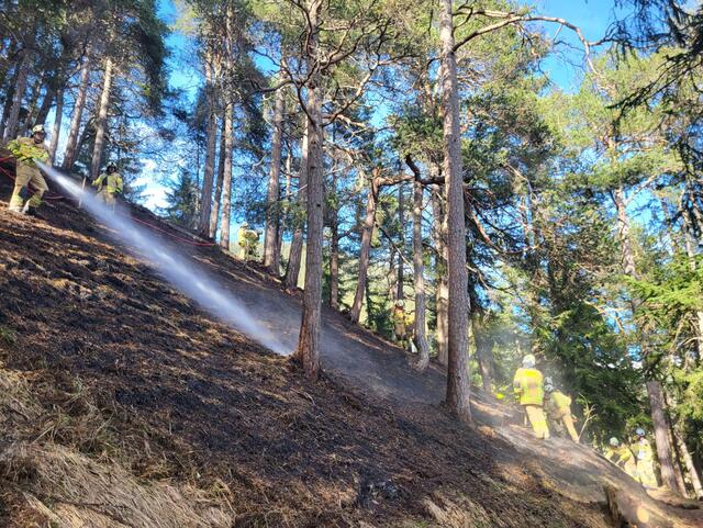 Gegen 16.15 Uhr kam es in St Anton im Ortsteil St. Jakob im Bereich des sogenannten Waldstücks "Eckli" zu einem Wiesenbrand.  | Foto: ZOOM.Tirol