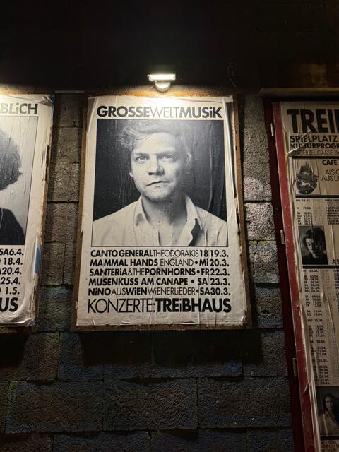 Nino Mandl - Nino aus Wien im TREIBHAUS. | Foto: Herbert Waltl