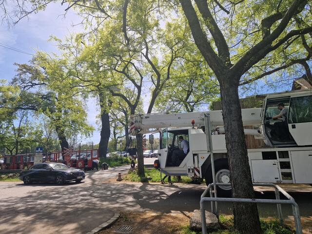 Foto: Lilis Welt GmbH