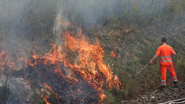 Foto: www.einsatzdoku.at