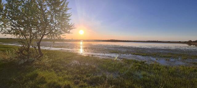 Sowohl die Lacken im Seewinkel als auch der Neusiedler See wurden durch die Niederschläge im Herbst und Winter gut gefüllt. | Foto: Hannes Santha