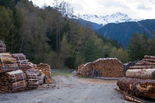 Westliches Ende des oberen Holzlagerplatzes mit Hohen Riffler im Hintergrund | Foto: © by Ing. Günter Kramarcsik