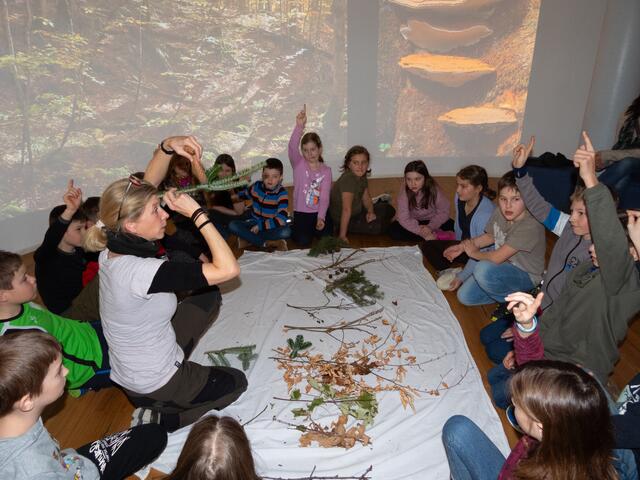 Buntes Programm für die Volksschüler: Beim großen Tag der Wildnis in Lunz am See kamen auch die jüngsten Besucher voll auf ihre Kosten. | Foto: Laura Renner