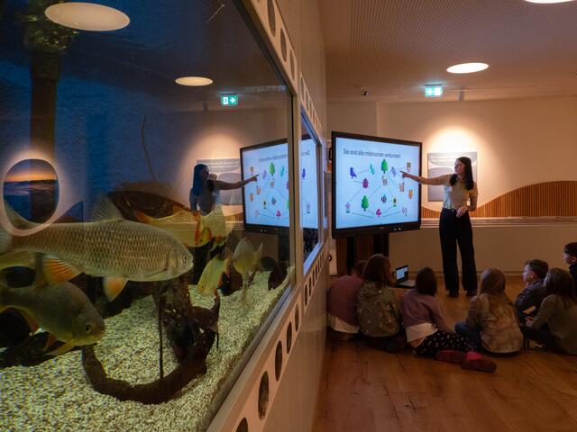 Buntes Programm für die Volksschüler: Beim großen Tag der Wildnis in Lunz am See kamen auch die jüngsten Besucher voll auf ihre Kosten. | Foto: Katharina Pfligl