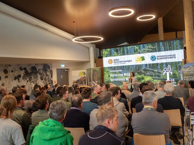 Tag der Wildnis in Lunz am See: Experten gaben beim Symposium im Haus der Wildnis Auskunft. | Foto: Laura Renner