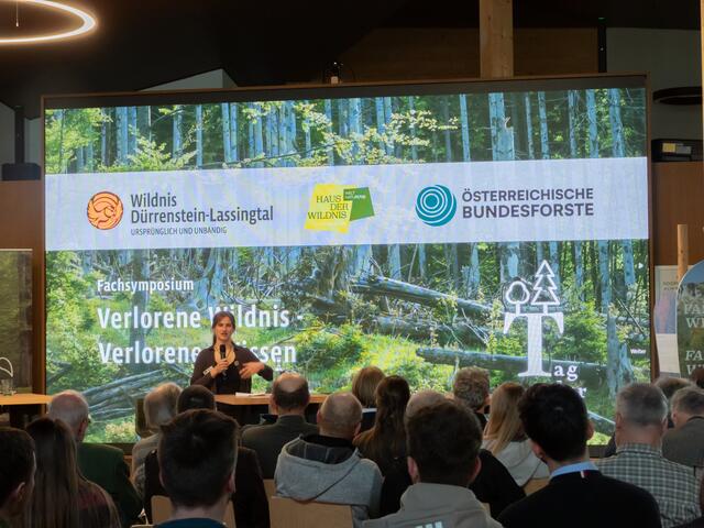 Tag der Wildnis in Lunz am See: Experten gaben beim Symposium im Haus der Wildnis Auskunft. | Foto: Laura Renner