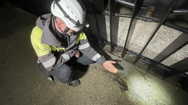 Bei der stillgelegten Turbine findet man auch Muscheln. Dies spricht laut dem Experten für eine gute Wasserqualität. | Foto: Kathrin Klemm/RMW