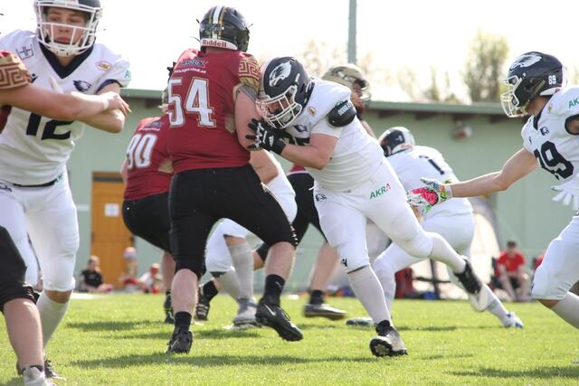 Der Saisonstart war mit einem 15:0 erfolgreich für die Blue Hawks. | Foto: Michaela Sorgner