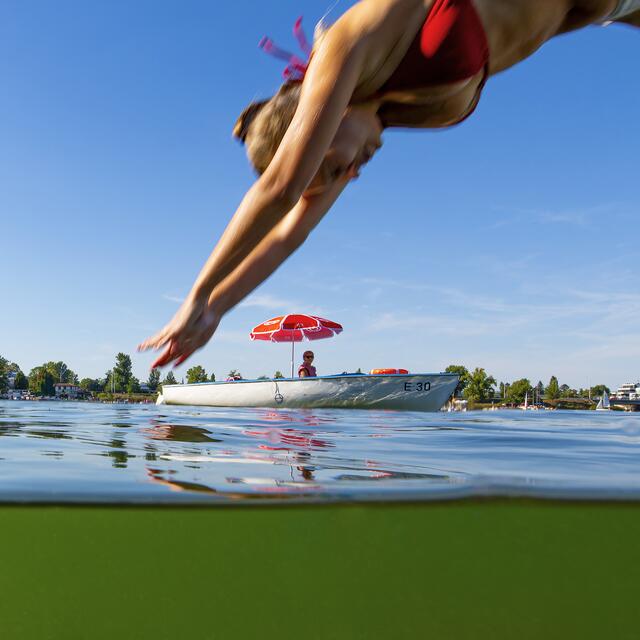Foto: Popp und Hackner/Wiener Wildnis