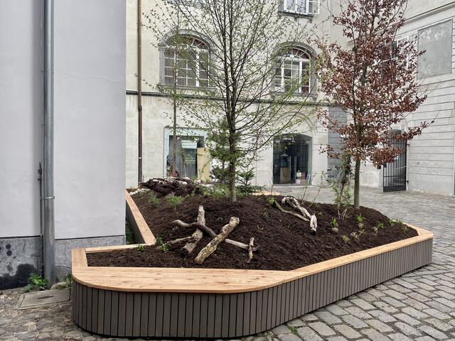 Foto: MeinBezirk.at
