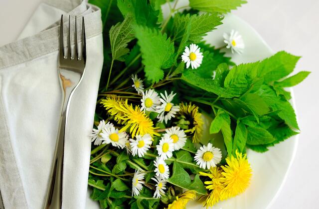 Aus Wildkräutern lassen sich feine kulinarische Überraschungen zaubern. | Foto: Congerdesign/Pixabay