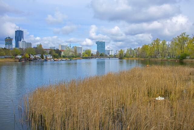 Foto: Popp und Hackner/Wiener Wildnis