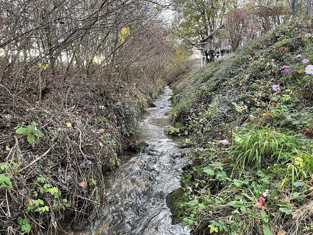 Der Rekabach fließt idyllisch durch Köttmannsdorf. Die Bachforelle soll wieder im Bach umherflitzen. | Foto: MeinBezirk.at
