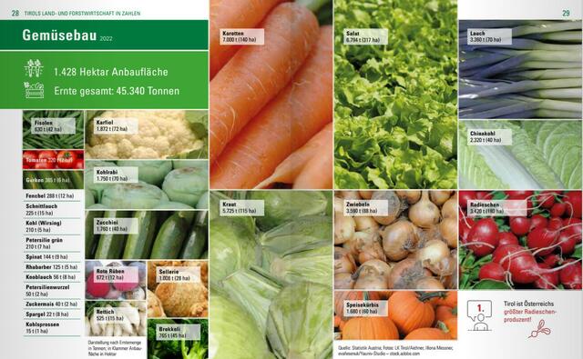 Tirol ist unter anderem Österreichs größter Radieschenproduzent! | Foto: LK Tirol
