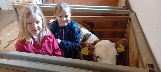 Schulausflug: Frühlingswanderung für die Kinder von St. Veit - Lilienfeld