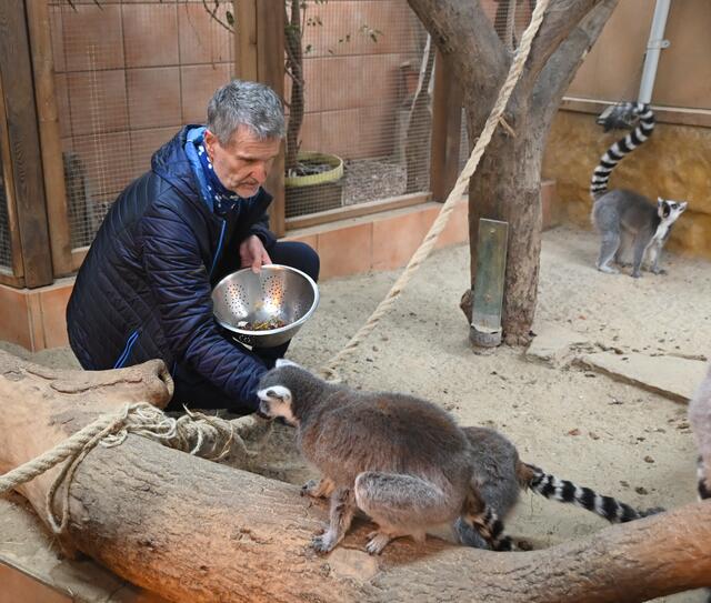 Katta Snack-Einnahme