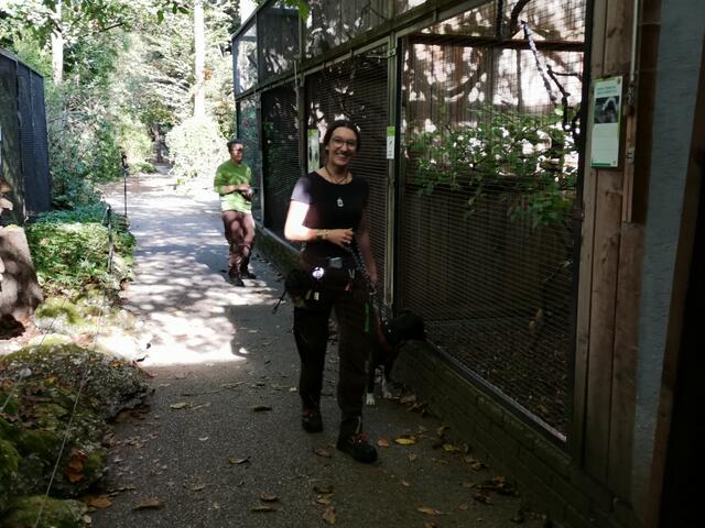 Elina - jetzt Tierheim