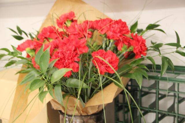 Am 9. April 20234 dominierten rote Nelken (Blume der Österreichischen Sozialdemokraten) den Pucher Gemeindesaal. | Foto: Martin Schöndorfer, 2024