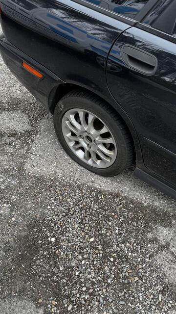 Foto: Gregor Luckeneder