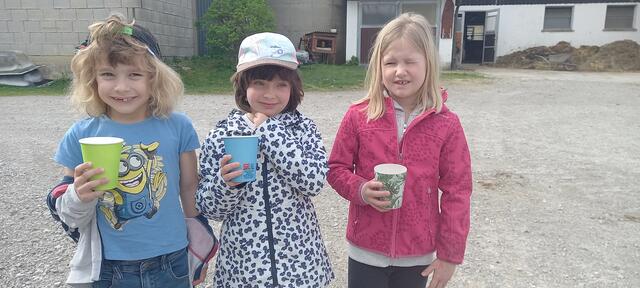 Gabriel Seidl, Valentina Winkler, Lia Billensteiner (v.l.) | Foto: VS St. Veit