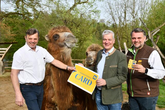 Prokurist Johann Kogler, LAbg. Bgm. Anton Kasser und Bgm. Geschäftsführer im Tierpark Haag Lukas Michlmayr | Foto: VPAM