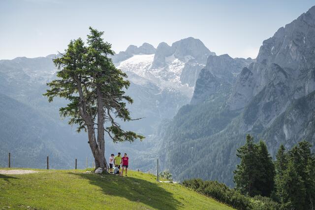 In der Region Dachstein West ist man für den Sommer gerüstet. | Foto: Dachstein Tourismus AG/Chris Eder Media