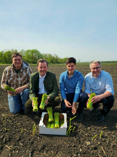 Ernst Tschida, LK-Präsident Nikolaus Berlakovich, Bio-Spargelbauer Kevin Graf, Bürgermeister von Halbturn Markus Ulram auf dem Bio-Spargelfeld in Halbturn | Foto: LK Burgenland